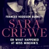 Sara Crewe or What Happened at Miss Minchin's