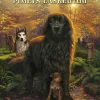 Selviytyjät: Pimeys laskeutuu