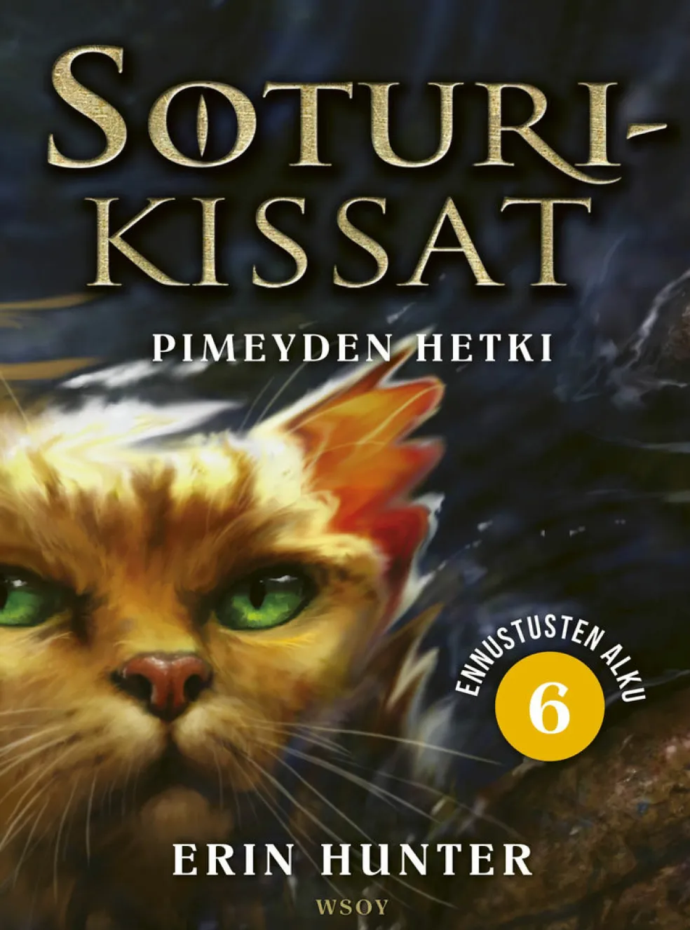 Soturikissat: Ennustusten alku 6: Pimeyden hetki