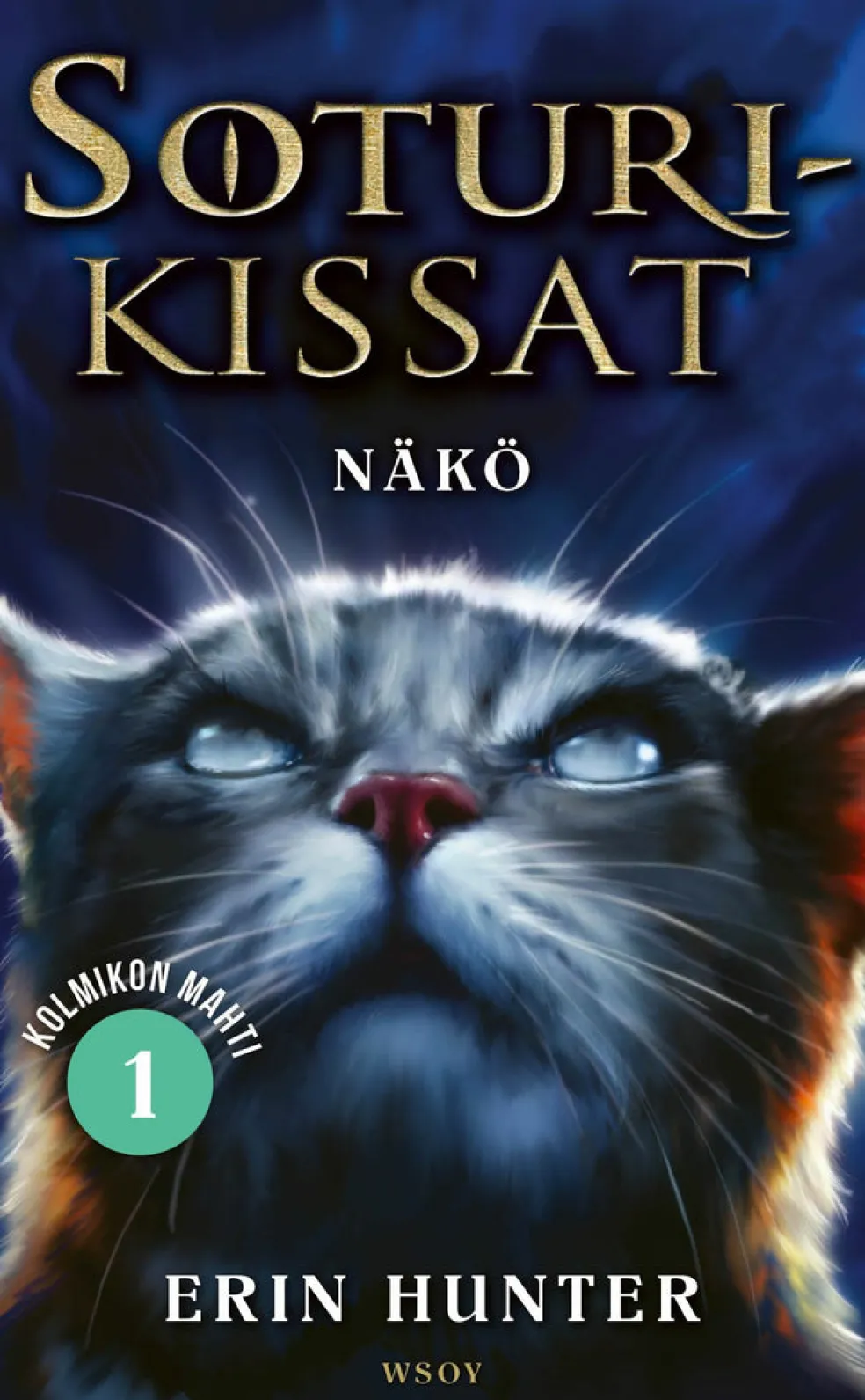 Soturikissat: Kolmikon mahti 1: Näkö