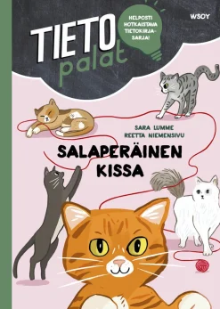 Tietopalat: Salaperäinen kissa