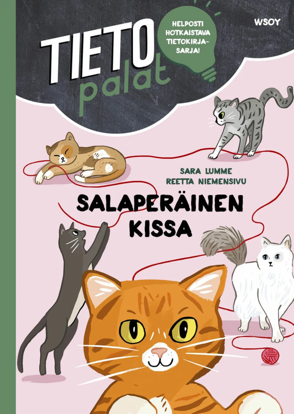 Tietopalat: Salaperäinen kissa