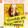 Äventyr på hästryggen