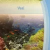 Vesi
