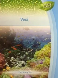 Vesi