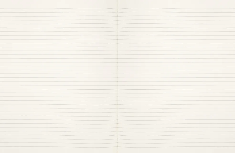 Vihko Moleskine XL Harry Potter Wingardium