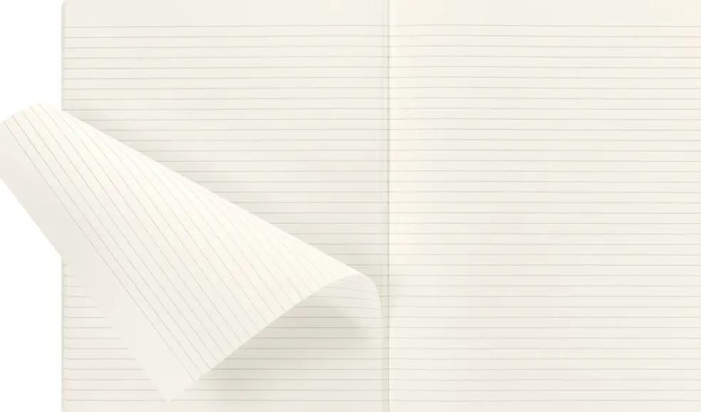 Vihko Moleskine XL Harry Potter Wingardium