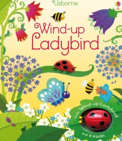 Wind-up Ladybird